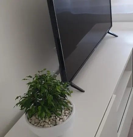 Apartmán Joyce Pula